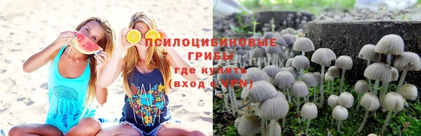 винт Лихославль